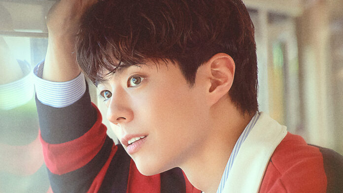 Actor y cantante Park Bo Gum