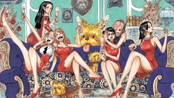 One Piece Heroines