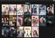 Guía rápida de géneros de K-Dramas: encuentra el que va contigo Catálogo de Corea+