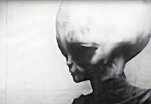 ¿El video de “Skinny Bob” es real? El misterio que sigue sin resolverse ¿Skinny Bob extraterrestre o fake viral?