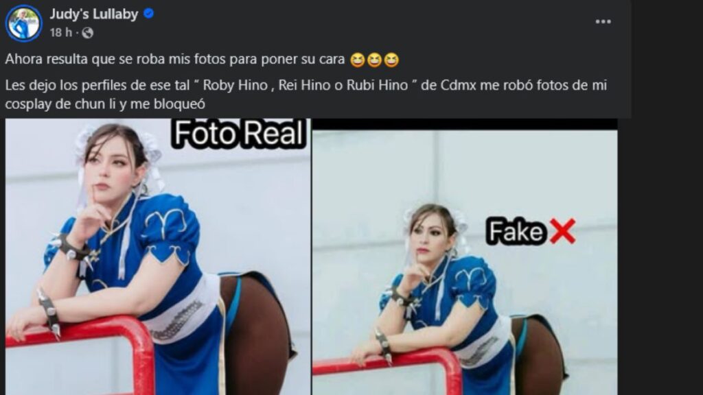 Perfil Judy´s Lullaby-Robo de fotografías.