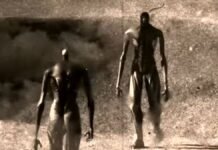 El vínculo entre Attack on Titan y Backrooms: Kane Parsons Attack on Titan - The Ending Animated-kane parsons